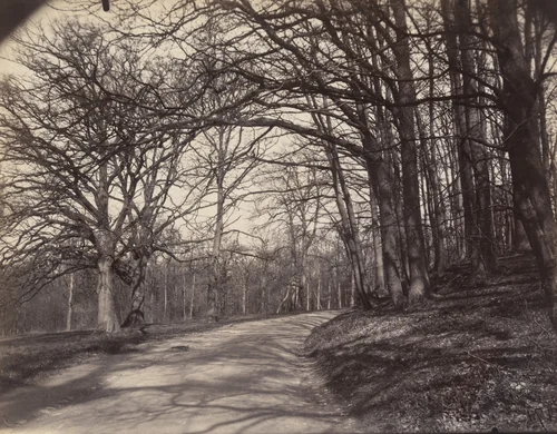 Saint-Cloud by Eugène Atget, photograph, 1923
