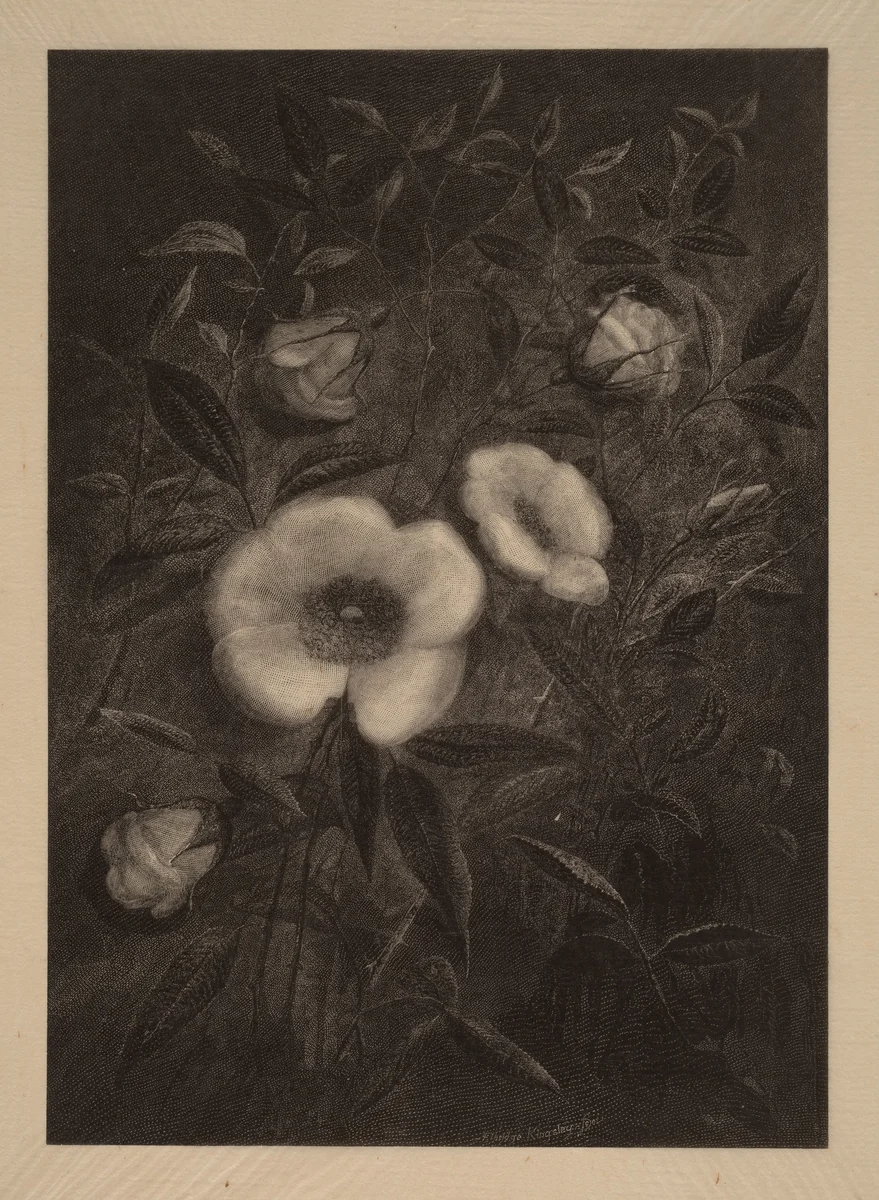 Wild Roses by Elbridge Kingsley, print, 1883