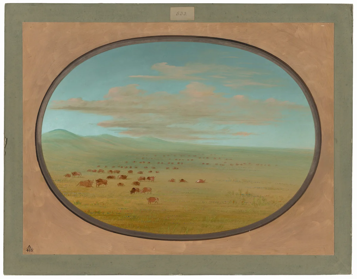 Wild Cattle Grazing on the Pampa del Sacramento by George Catlin, painting, 1854-1869