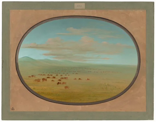 Wild Cattle Grazing on the Pampa del Sacramento by George Catlin, painting, 1854-1869