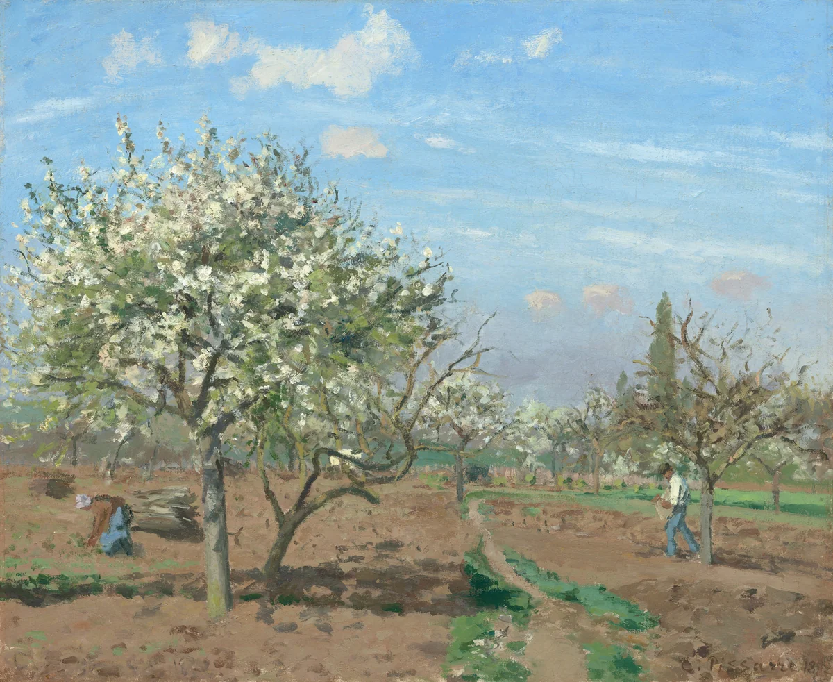 Orchard in Bloom, Louveciennes by Camille Pissarro, painting, 1872