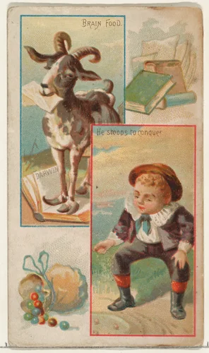 Brain Food / He Stoops to Conquer, from the Jokes series (N118) issued by Duke Sons & Co. to promote Honest Long Cut Tobacco by W. Duke, Sons & Co., print, 1890-1893