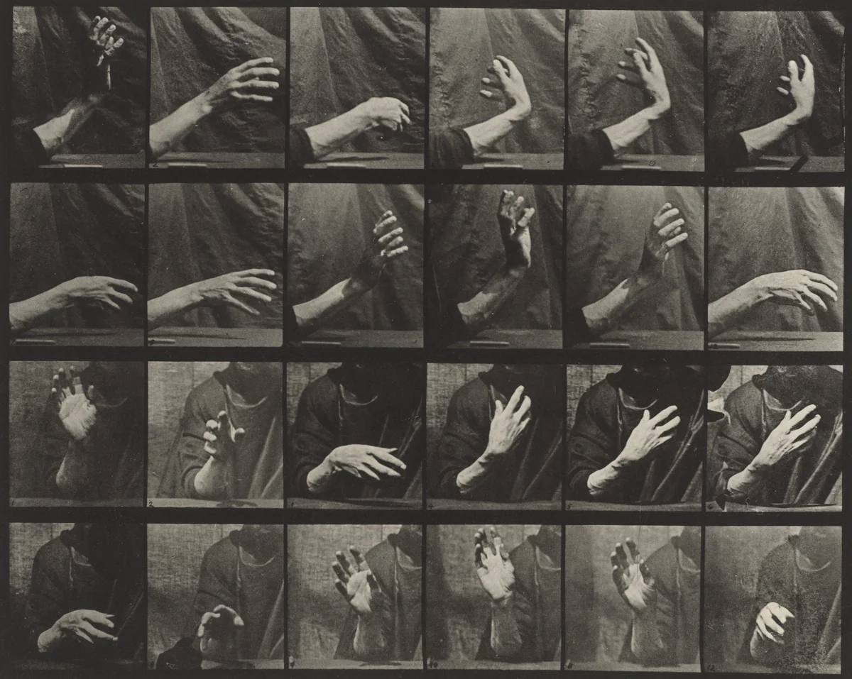 Movement of the Hand, Beating Time: Plate 535 from Animal Locomotion by Eadweard Muybridge, photograph, 1884