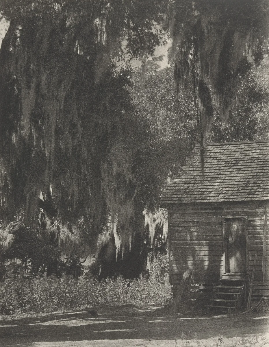 Untitled by Doris Ulmann, photograph, 1929