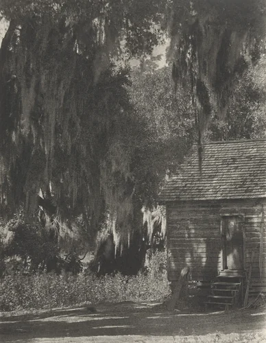 Untitled by Doris Ulmann, photograph, 1929