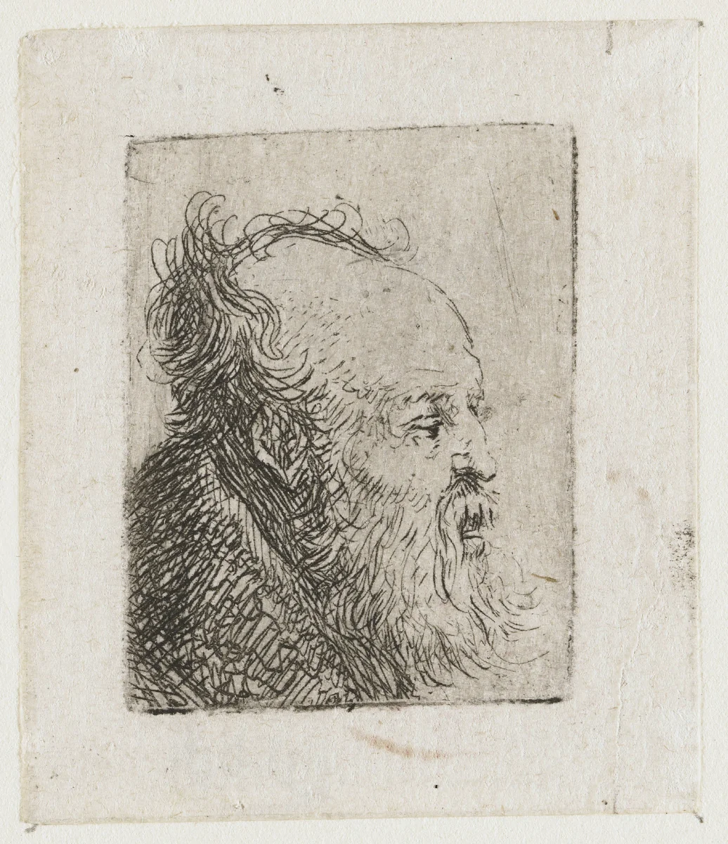 Old Bearded Man, with Mouth Half Open by Rembrandt van Rijn, print, 1629