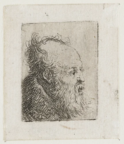 Old Bearded Man, with Mouth Half Open by Rembrandt van Rijn, print, 1629