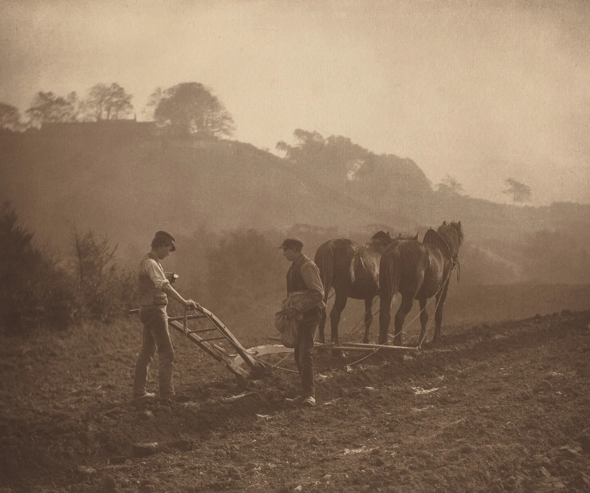 Dinnertime by Frank Meadow Sutcliffe, photograph, 1890