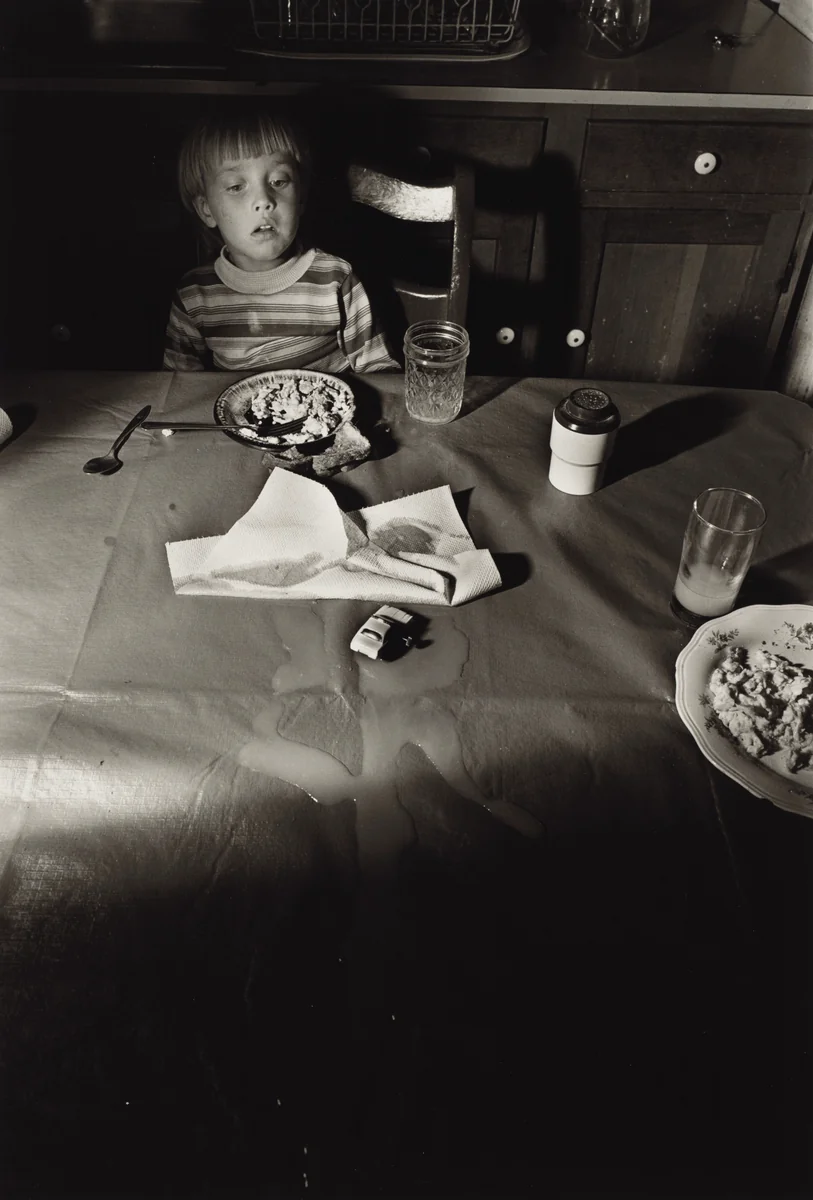 Cooper's, Martins Creek, Pennsylvania by Larry Fink, photograph, 1981