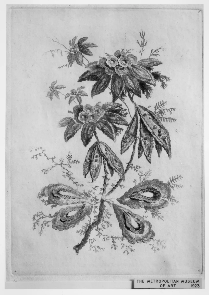 Flowers, from "Nouvelle Suite de Cahiers de Fleurs idéales a l'usage des dessinateurs et des peintres" (Nr 3) by Jean Pillement, print, 1790-1799