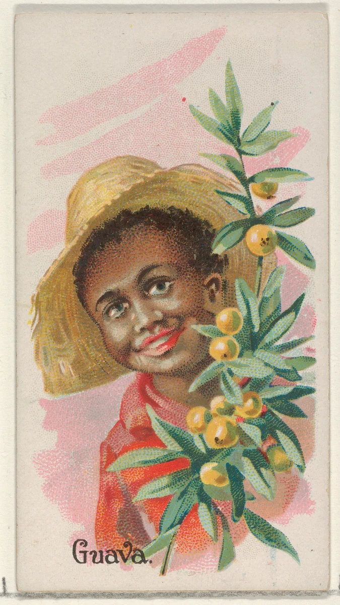 Guava, from the Fruits series (N12) for Allen & Ginter Cigarettes Brands by Allen & Ginter, print, 1891