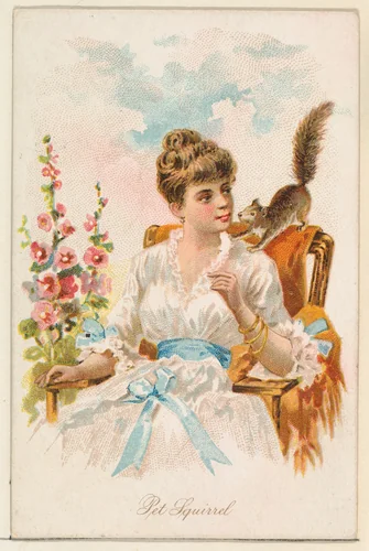 Pet Squirrel, from the Household Pets series (N194) issued by Wm. S. Kimball & Co. by William S. Kimball & Company, print, 1891