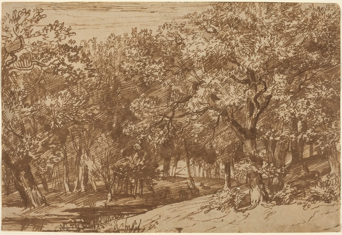 Deer Park by Jan Lievens, drawing, 1655-1660