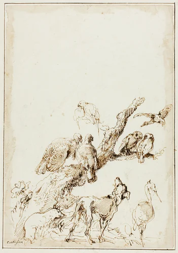 Birds and Animals around a Dead Tree by Giovanni Benedetto Castiglione, drawing, 1634-1640