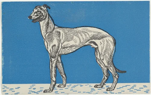 Greyhound by Moriz Jung, print, 1912