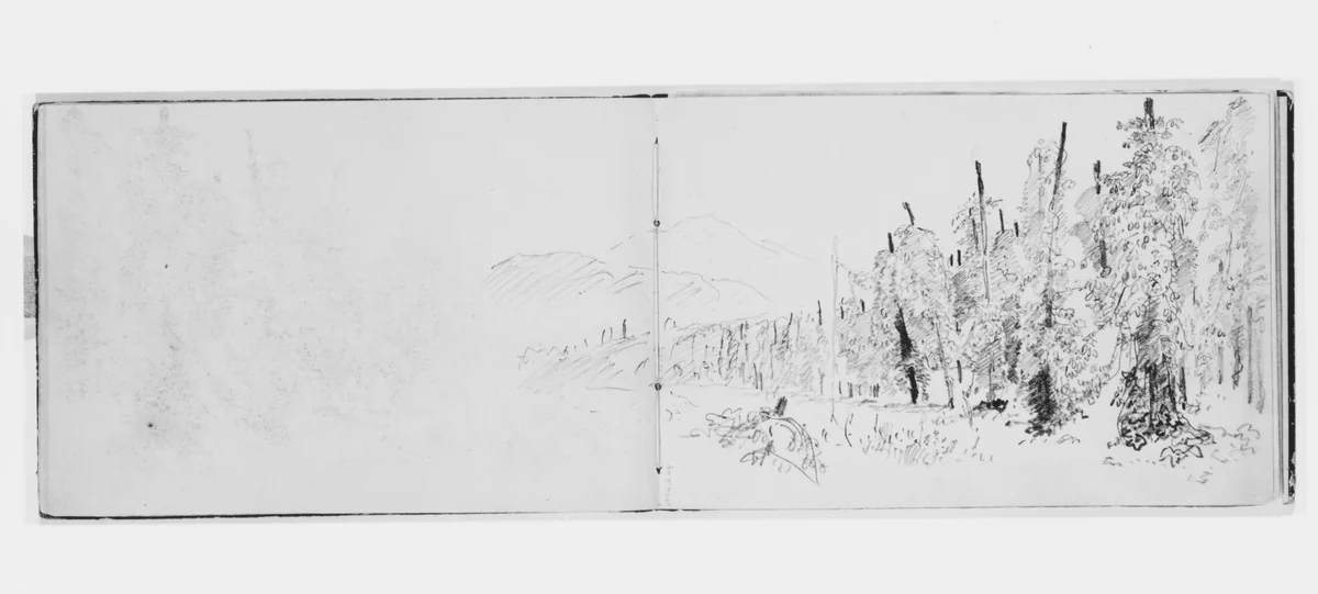 Landscape with Forest, Fields, and Mountains (from Sketchbook X) by William Trost Richards, artwork, 1885