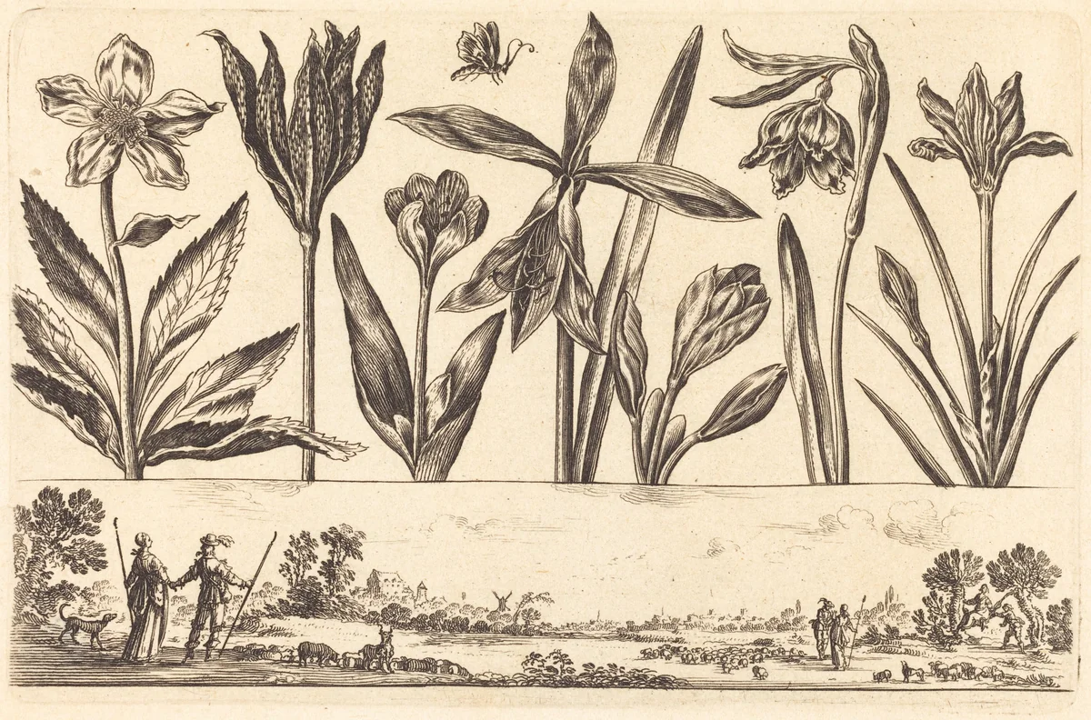 Flower Print no.4 by Nicolas Cochin, print, 1645