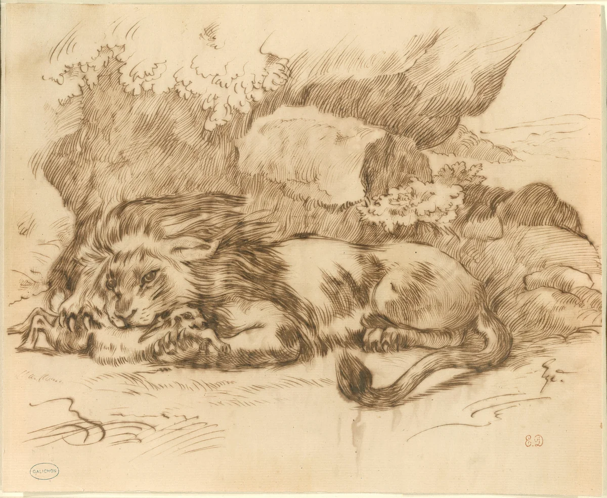 Lion Devouring a Rabbit by Eugène Delacroix, print, 1818-1863