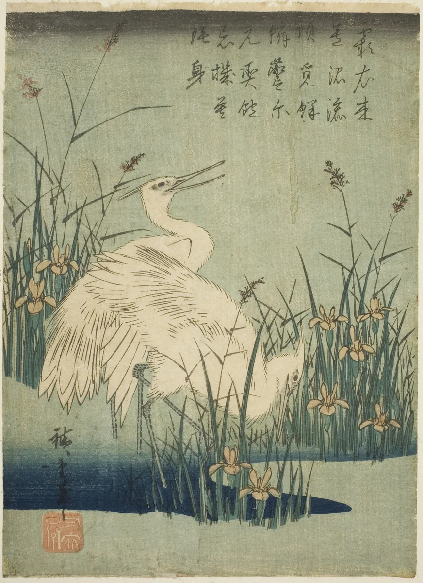 White herons and iris by Utagawa Hiroshige (歌川広重), print, 1830-1839