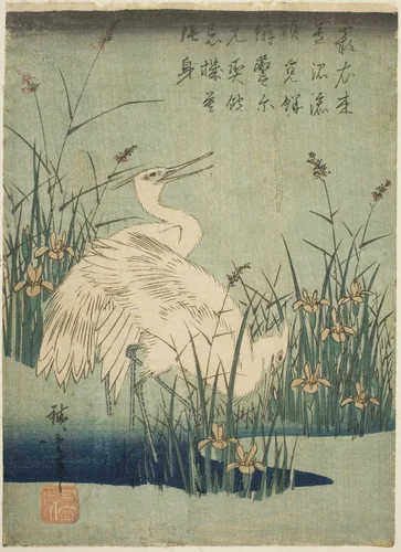 White herons and iris by Utagawa Hiroshige (歌川広重), print, 1830-1839
