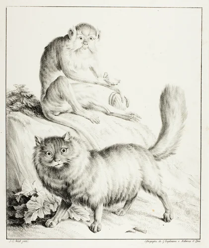 Cat and Monkey by Gottfried Engelmann
Jean Baptiste Huet, print, 1814-1816
