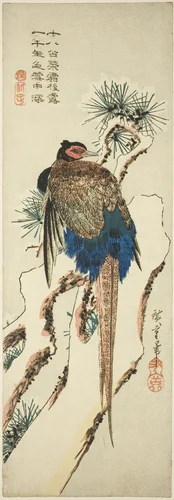 Pheasant on a Snow-Covered Pine Tree by Utagawa Hiroshige (歌川広重), print, 1830-1840