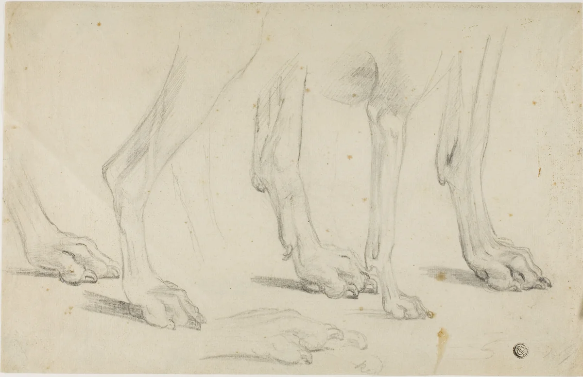 Dog Paws by Sawrey Gilpin, drawing, 1750-1859