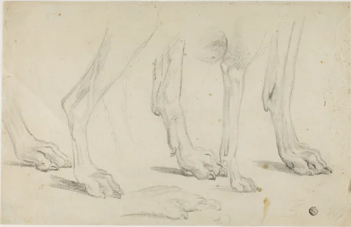 Dog Paws by Sawrey Gilpin, drawing, 1750-1859