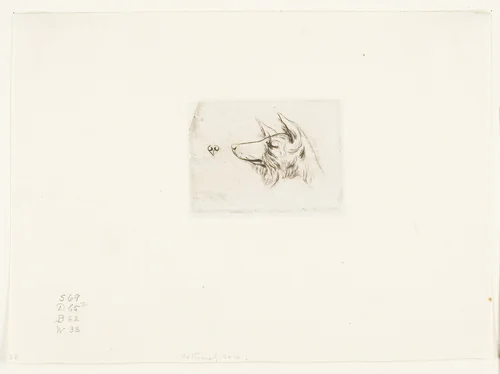 Head of a New Holland Dog by Charles Meryon, print, 1860