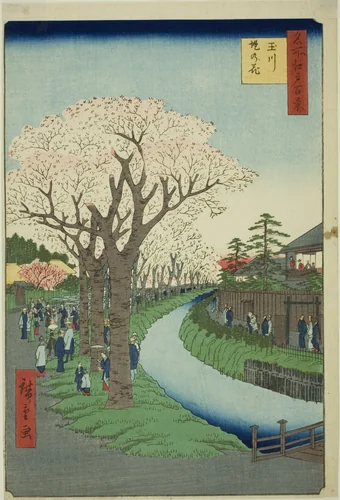 Blossoms on the Tama River Embankment (Tamagawa-zutsumi no hana), from the series "One Hundred Famous Views of Edo (Meisho Edo hyakkei)" by Utagawa Hiroshige (歌川広重), print, 1856
