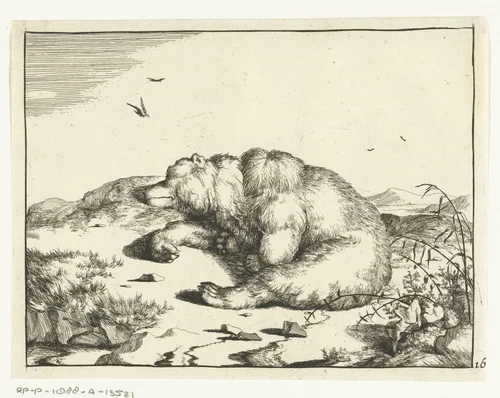 Slapende beer, liggend op zij by Marcus de Bye, print, 1664