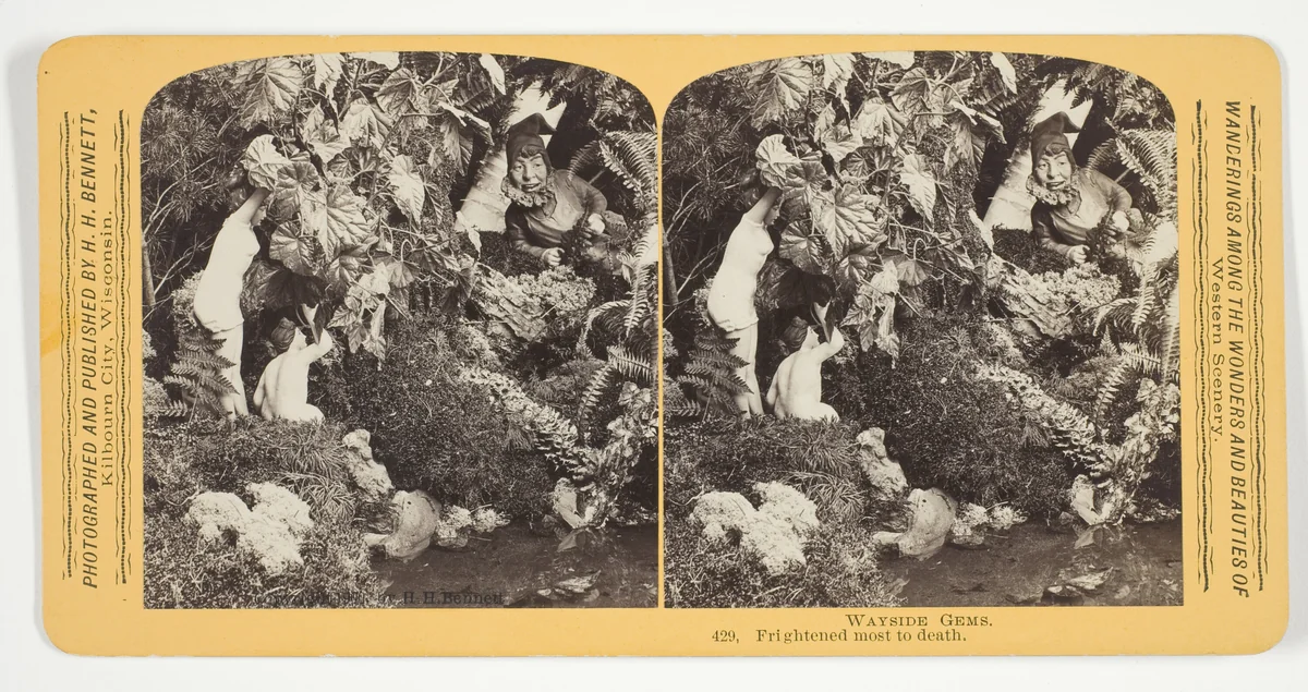 Frightened most to death, No. 429 from the series "Wayside Gems" by Henry Hamilton Bennett, photograph, 1870-1889