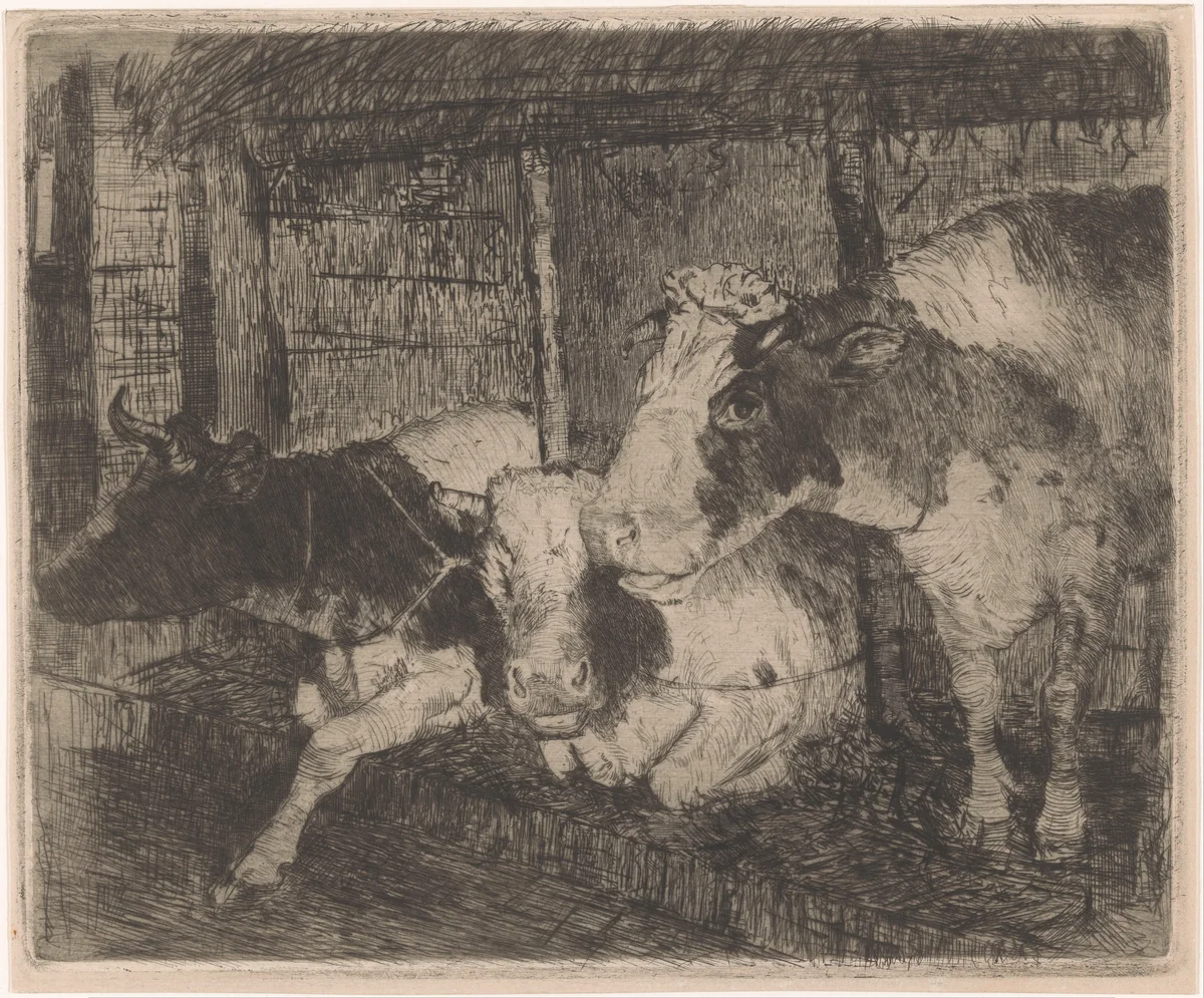 Stal met drie koeien by Klaas van Leeuwen, print, 1891