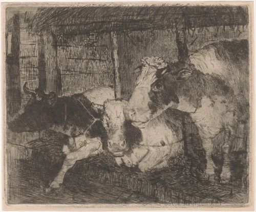 Stal met drie koeien by Klaas van Leeuwen, print, 1891