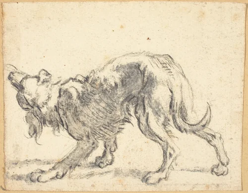 A Dog by Cornelis Saftleven, drawing, 1660-1670