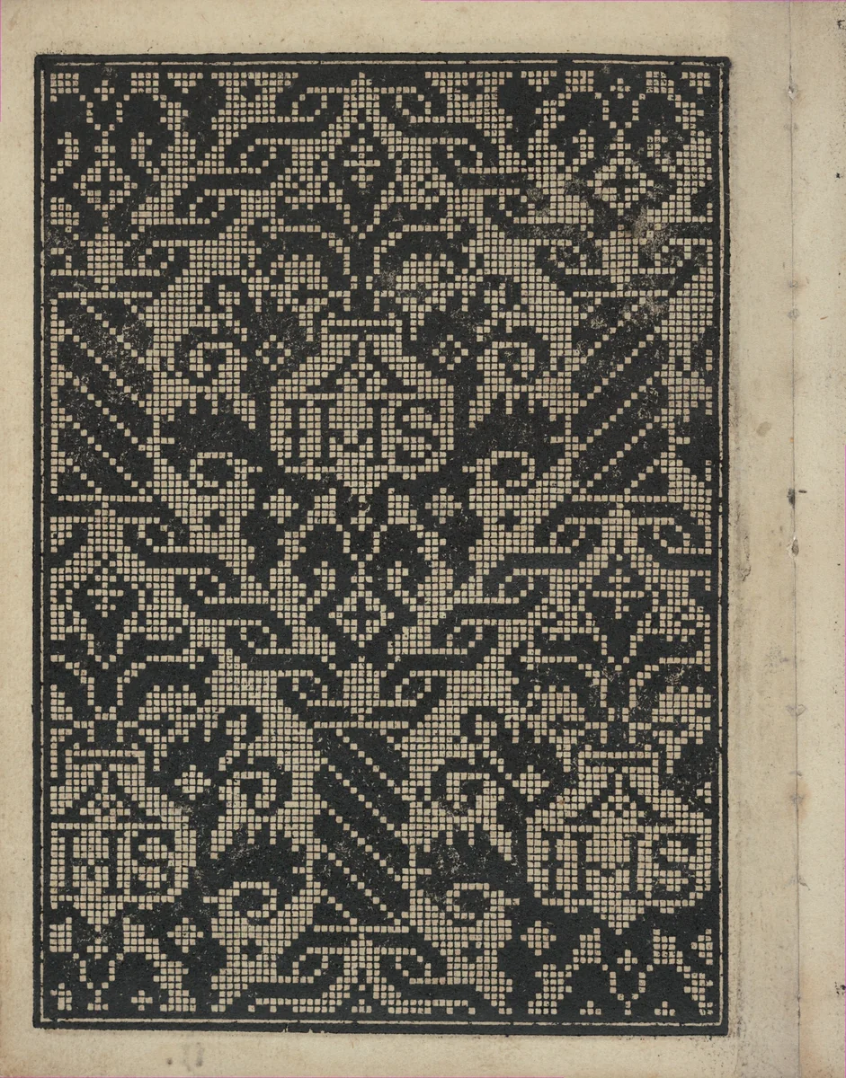 Libbretto nouellamete composto per maestro Domenico da Sera...lauorare di ogni sorte di punti, page 9 (verso) by Domenico da Sera, book, 1532