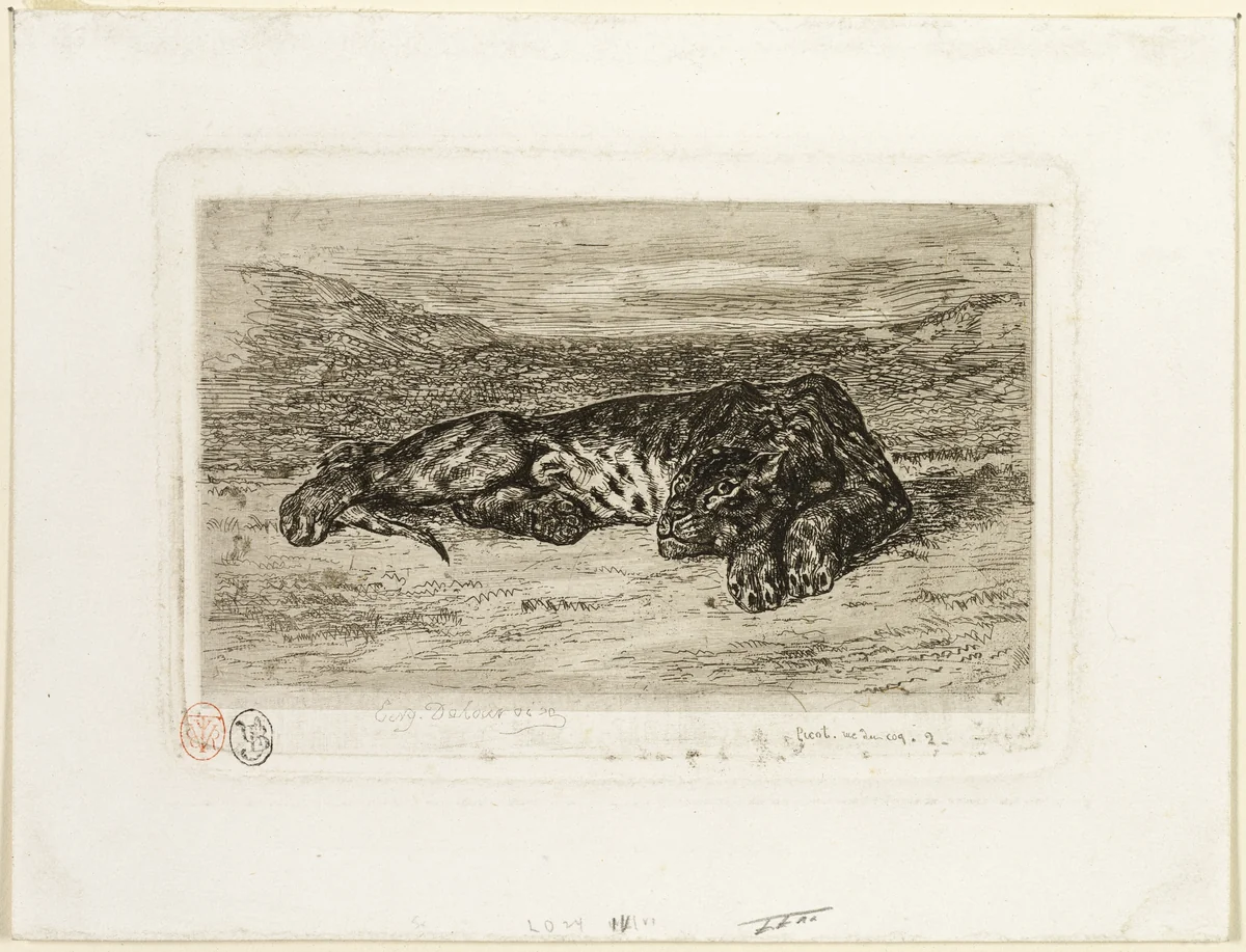 Tiger Resting in the Desert by Eugène Delacroix, print, 1846