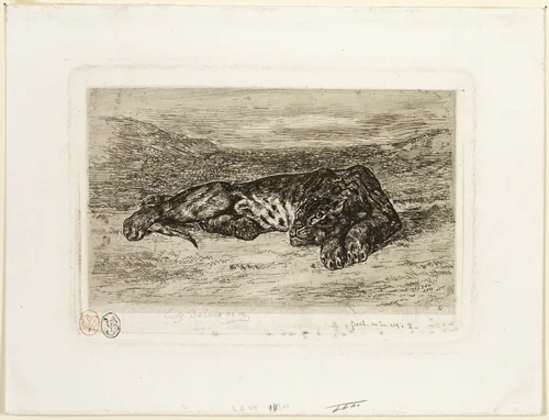 Tiger Resting in the Desert by Eugène Delacroix, print, 1846