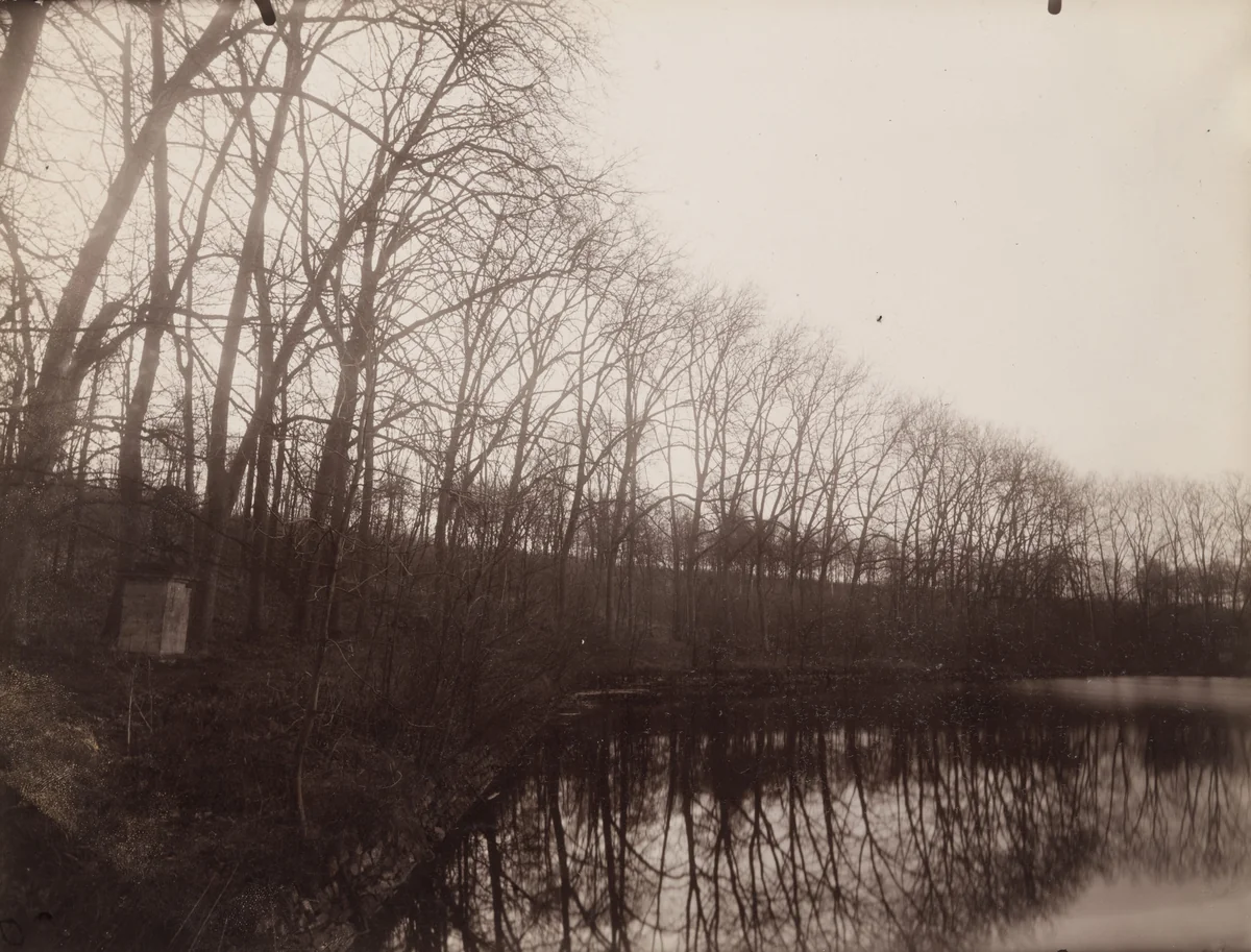 Parc de Sceaux by Eugène Atget, photograph, 1925