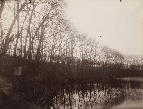 Parc de Sceaux by Eugène Atget, photograph, 1925