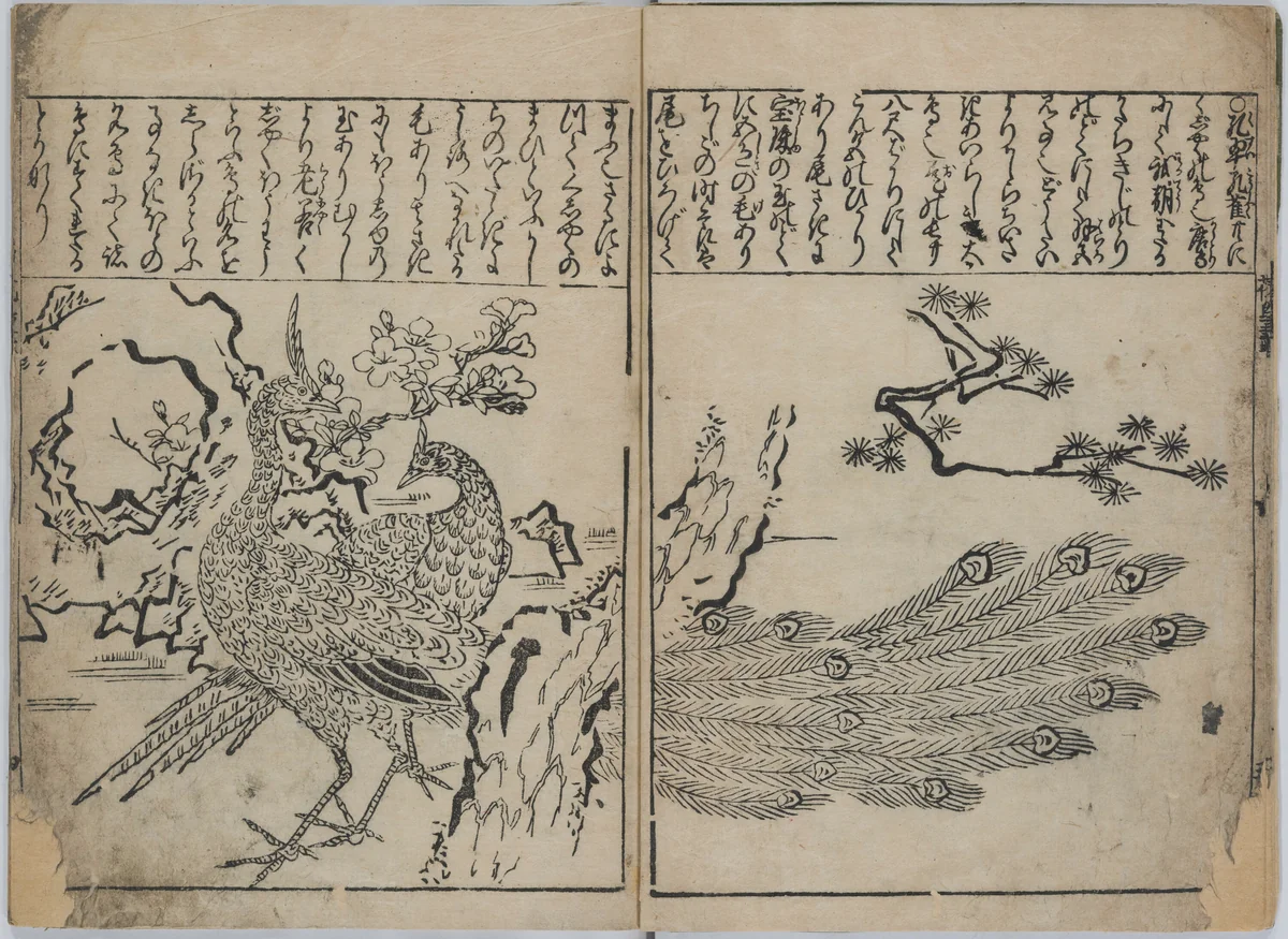 A Collection of Flowers and Birds (Kacho zukushi) by Hishikawa Moronobu (菱川師宣), book, 1678-1688