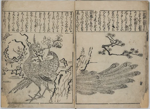 A Collection of Flowers and Birds (Kacho zukushi) by Hishikawa Moronobu (菱川師宣), book, 1678-1688