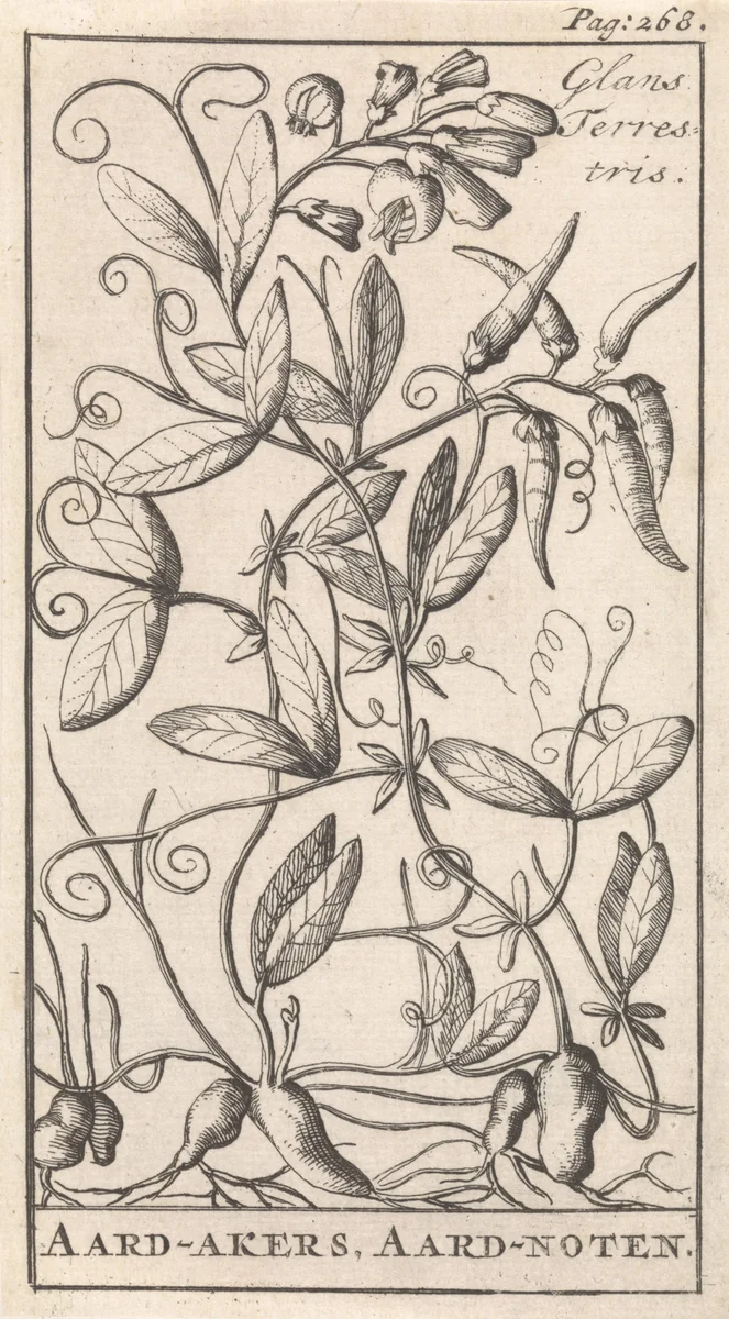 Aardaker by Caspar Luyken, print, 1698