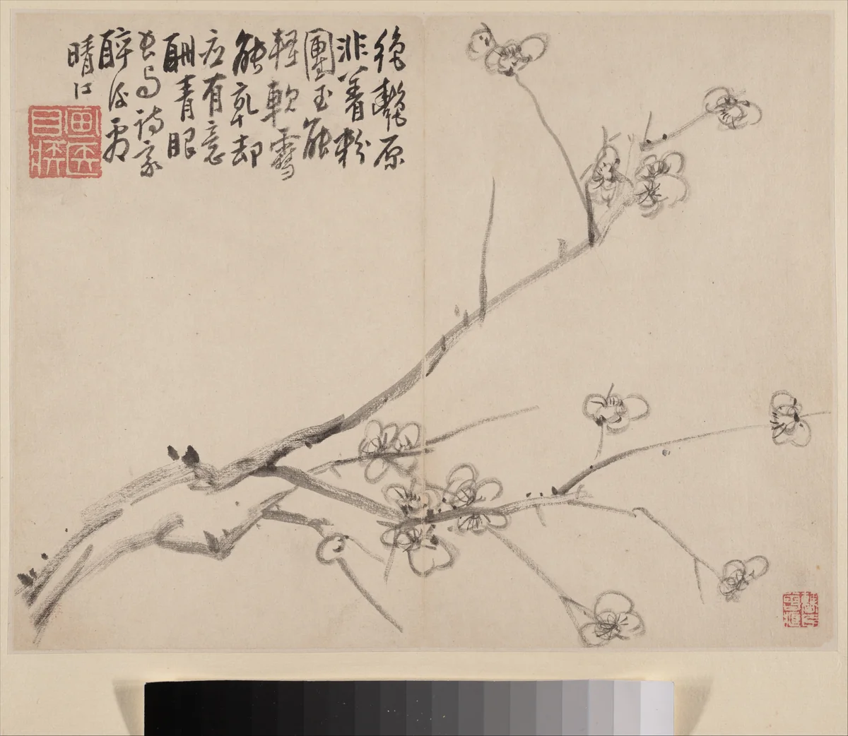Album of Blossoming Plum by Li Fangying, painting, 1742