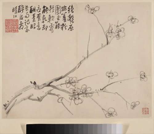 Album of Blossoming Plum by Li Fangying, painting, 1742