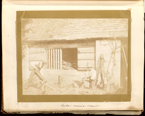 Untitled by William Henry Fox Talbot, photograph, 1840-1850