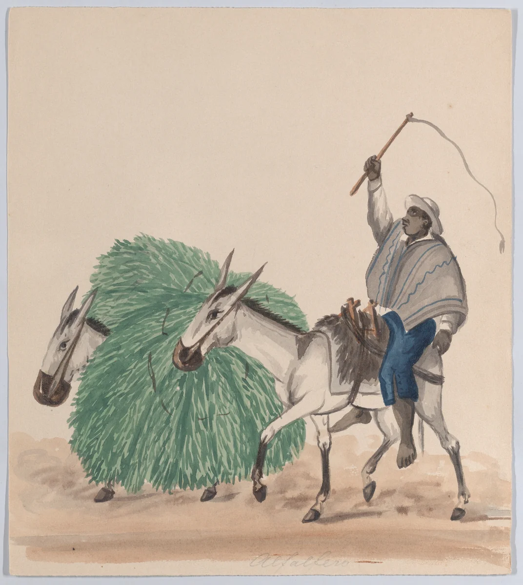 A man riding a mule, his whip raised, another mule loaded with grass alongside, from a group of drawings depicting Peruvian dress by Francisco Fierro, drawing, 1843-1853