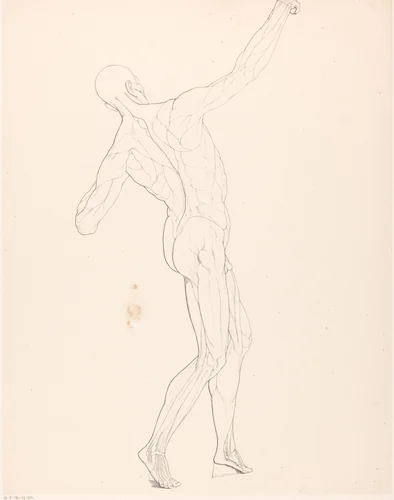 Tekenvoorbeeld van een écorché van opzij gezien by Jean Augustin Daiwaille, print, 1820-1833