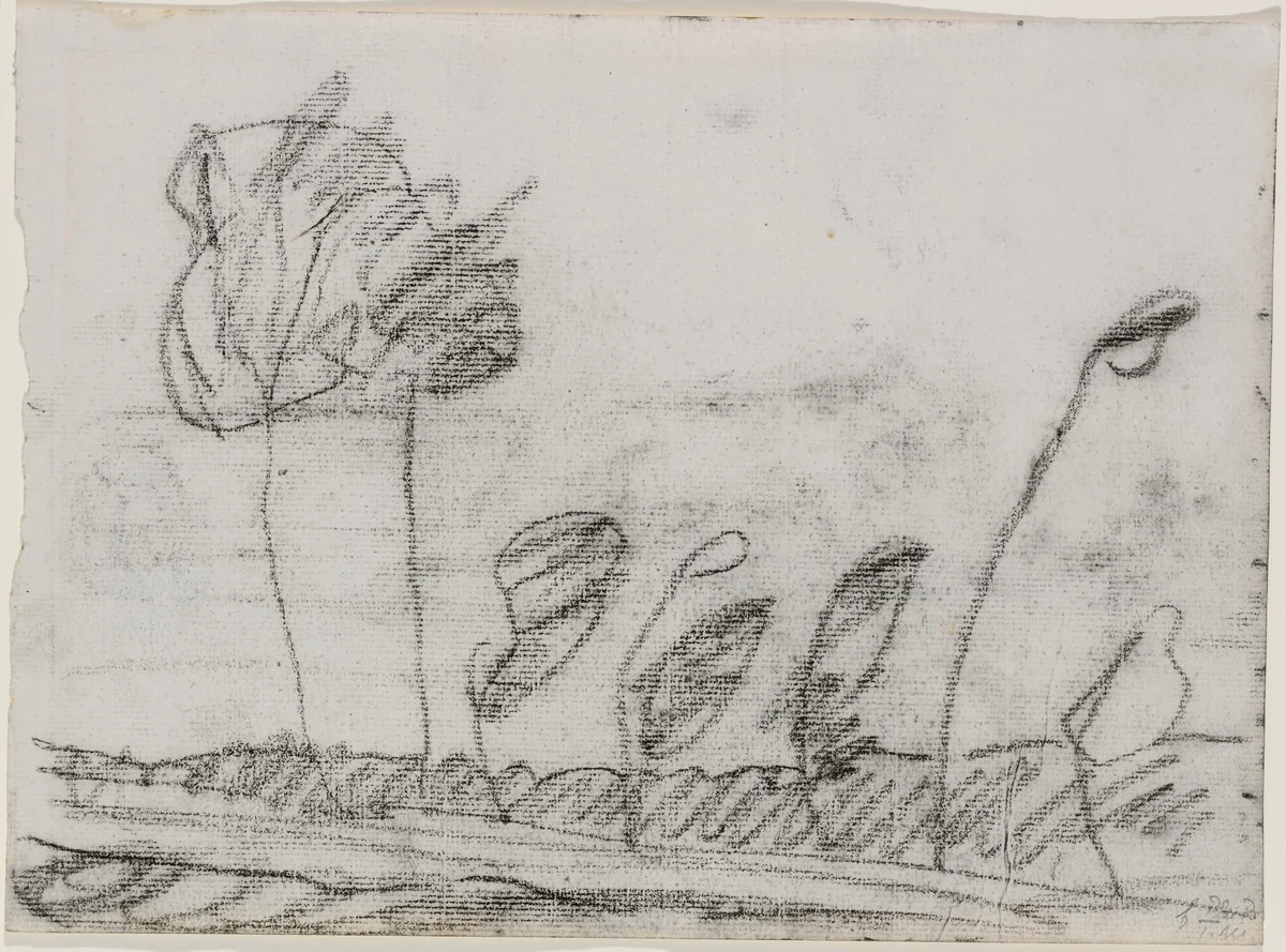 Seven Trees by Paula Modersohn-Becker, drawing, 1900-1902