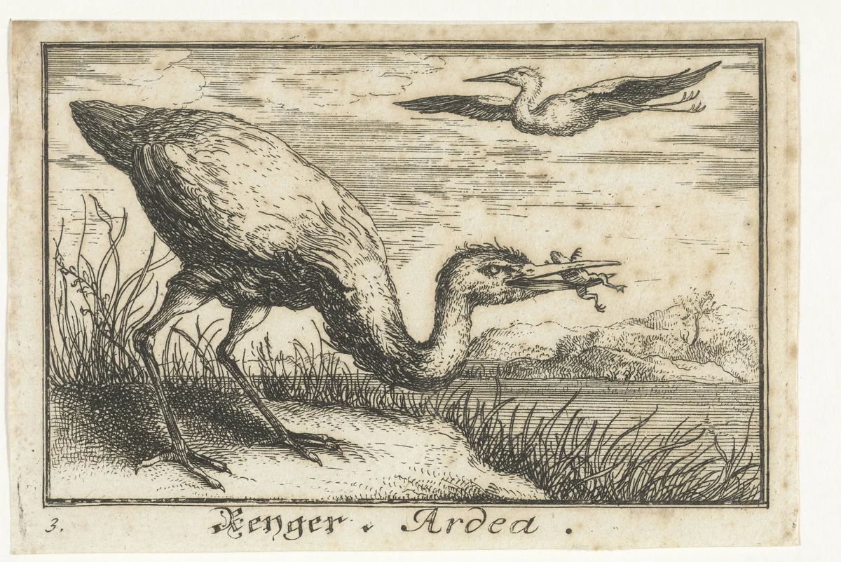 Reiger met kikker in de bek by anonymous, print, 1659-1741